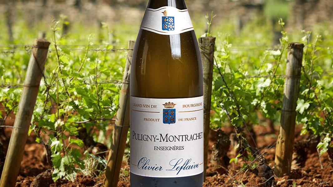 18 Montrachet