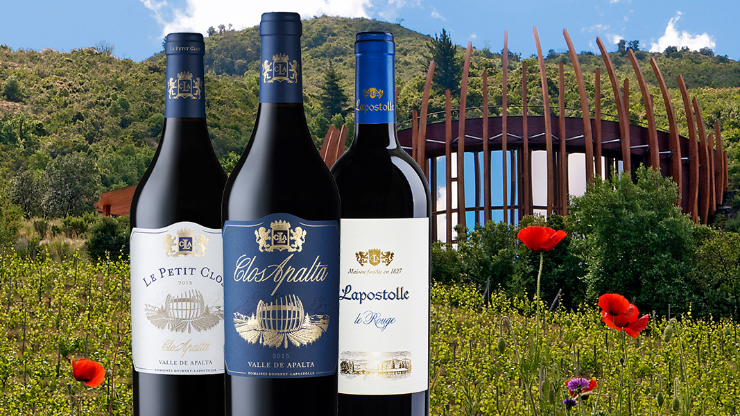 53 Clos Apalta