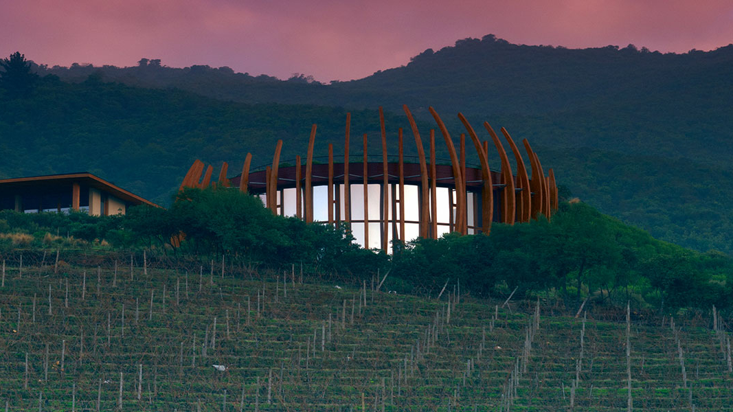 CLOS apalta estate groot 3