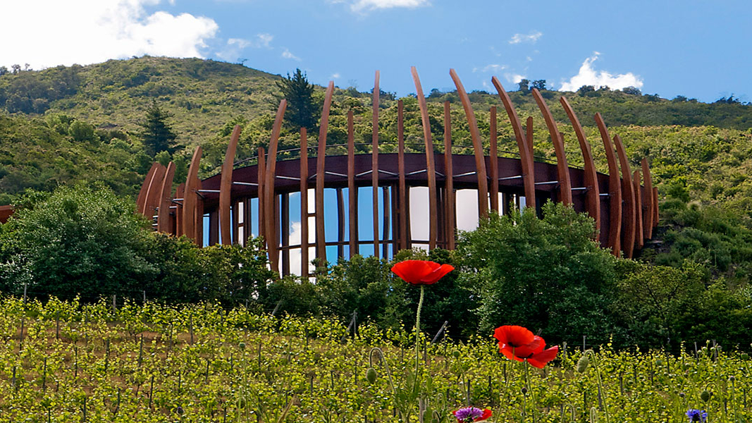 CLOS apalta estate groot 7
