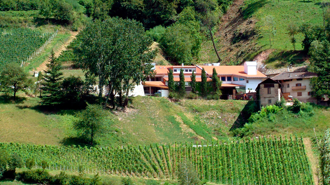FranzHaas estate