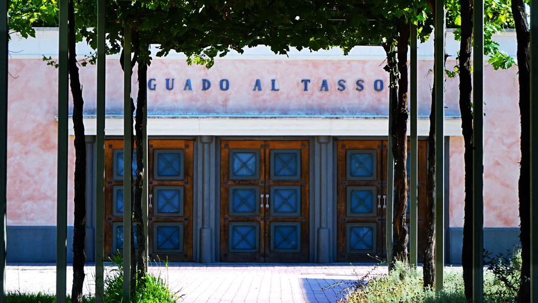 GuadoalTasso estate
