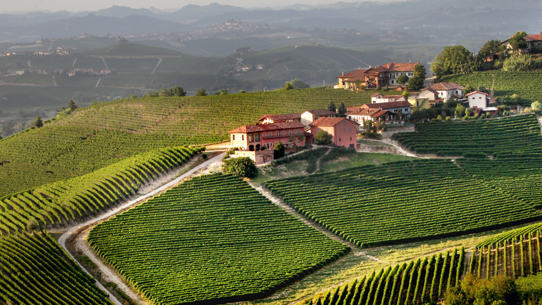 Prunotto winery