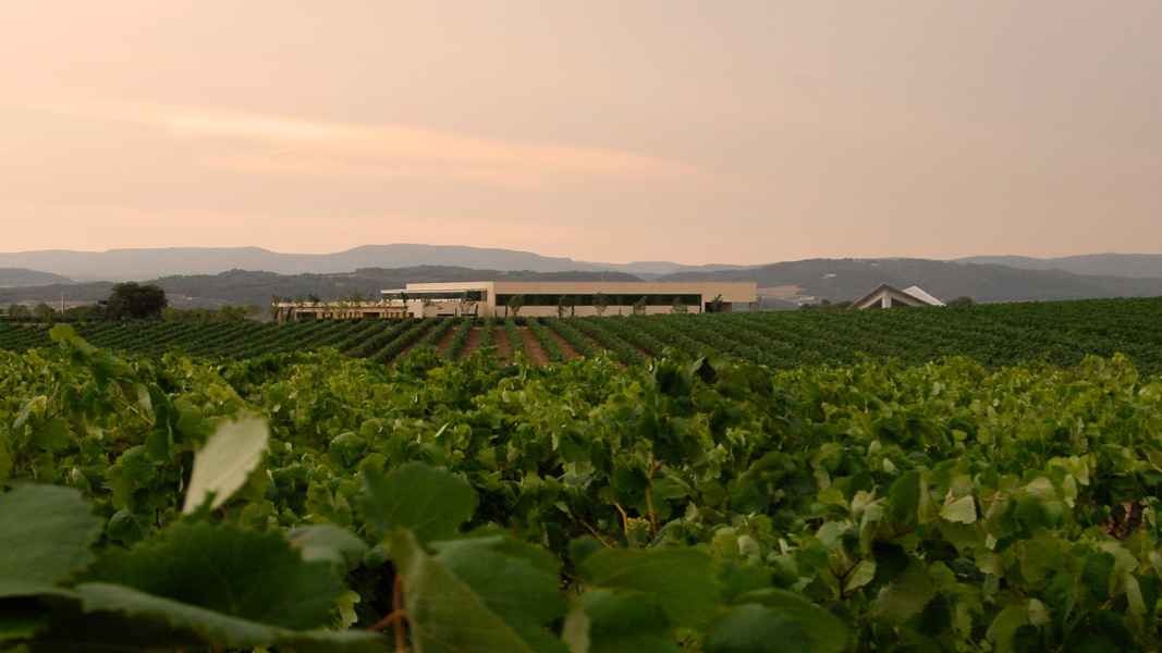 Vilarnau wijnestate