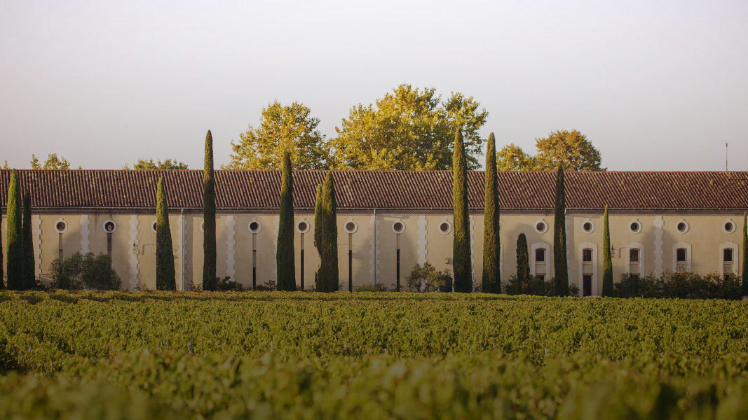 chateau clarke blogbanner z tekst