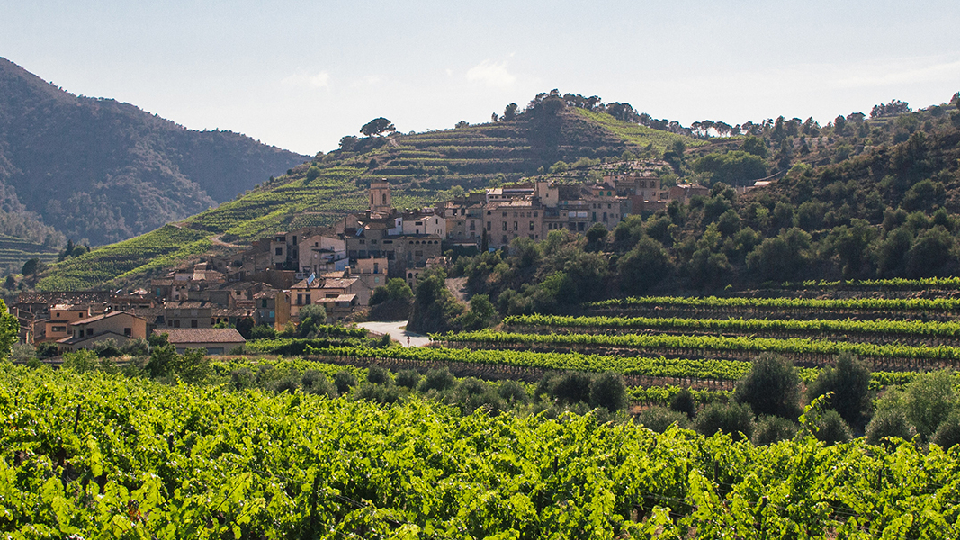 vall llach blogbanner 2