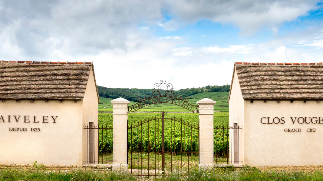 80 Domaine Faiveley blogbanner z tekst