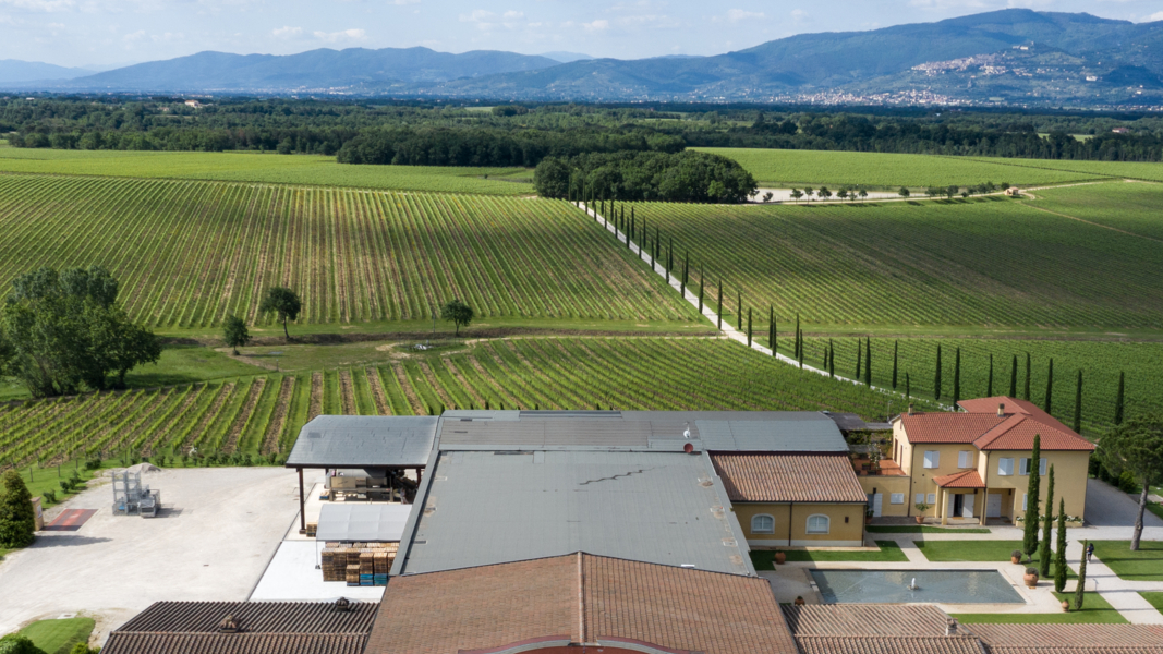 La Braccesca panoramic view
