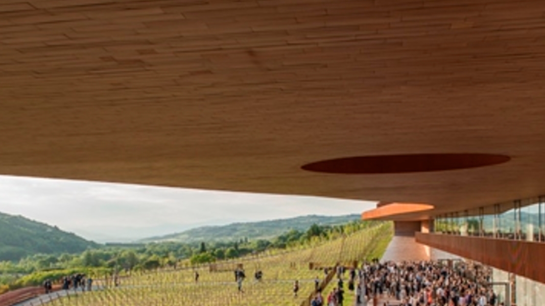 tasting at the antinori winery