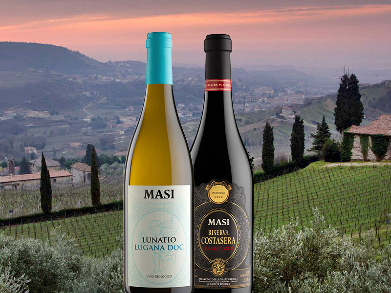 https://www.winelist.nl/media/cache/16x9_thumb/media/image/article-overview/134-Masi-Estates-blogbanner-z-tekst.jpg