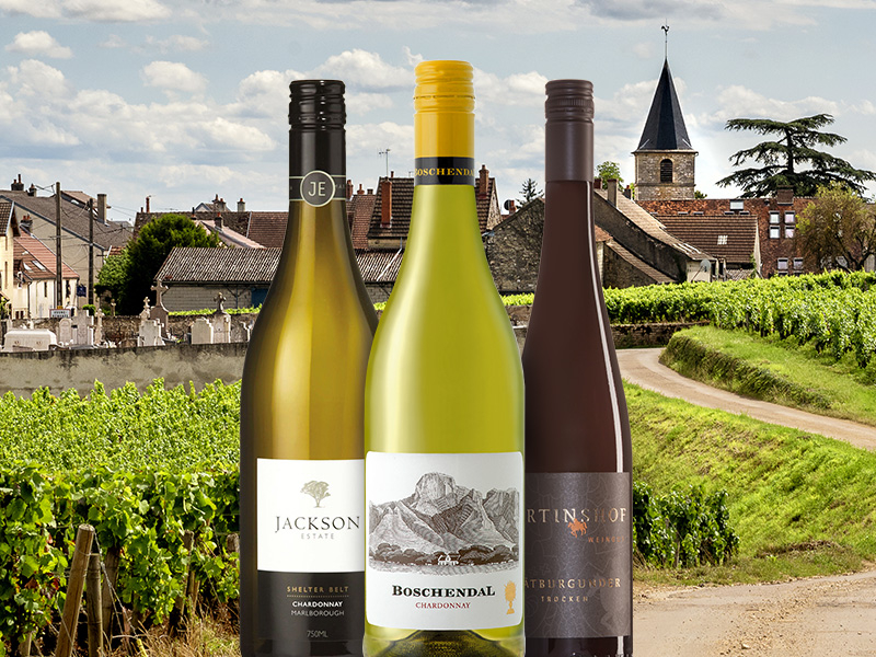 https://www.winelist.nl/media/cache/16x9_thumb/media/image/article-overview/165-Alternatieven-Bourgogne-blogbanner-z-tekst.jpg
