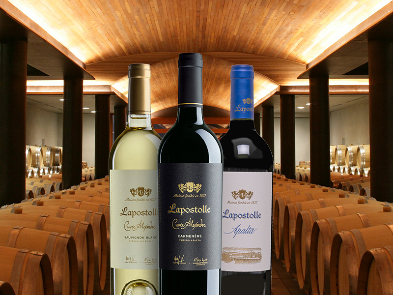 https://www.winelist.nl/media/cache/16x9_thumb/media/image/article-overview/171-Wijnen-van-wereldklasse-Lapostolle-blogbanner-z-tekst.jpg