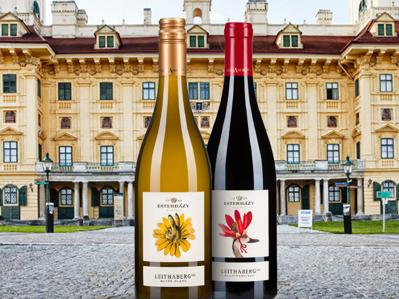 https://www.winelist.nl/media/cache/16x9_thumb/media/image/article-overview/64-Esterhazy-blogbanner-z-tekst.jpg