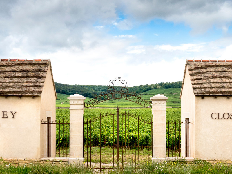 https://www.winelist.nl/media/cache/16x9_thumb/media/image/article-overview/80-Domaine-Faiveley-blogbanner-z-tekst.jpg