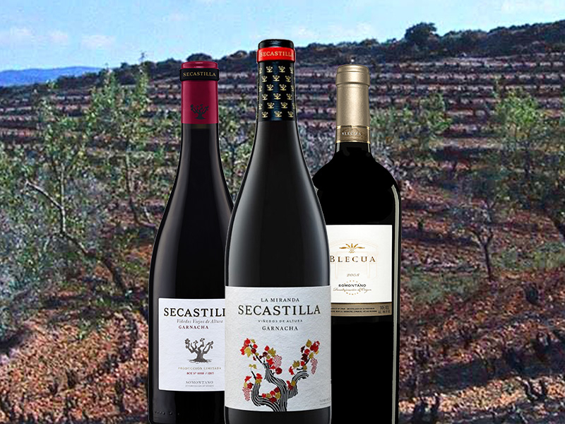 https://www.winelist.nl/media/cache/16x9_thumb/media/image/article-overview/84-Secastilla-en-Blecua-blogbanner-z-tekst.jpg