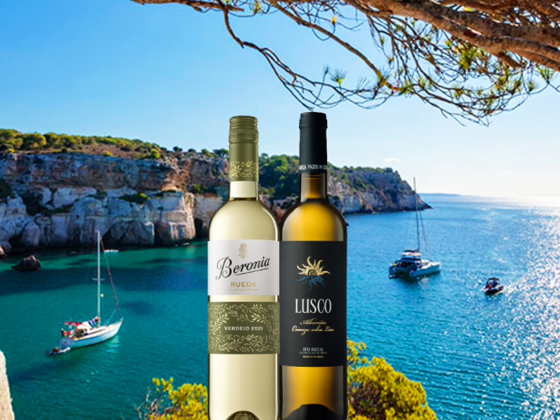 https://www.winelist.nl/media/cache/16x9_thumb/media/image/article-overview/Albarino_Verdejo_blogbanner_z_tekst.jpg