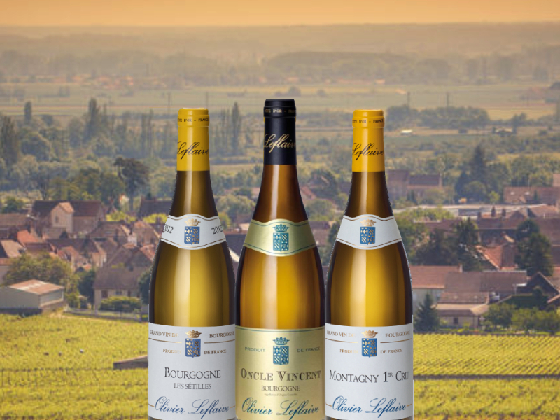 https://www.winelist.nl/media/cache/16x9_thumb/media/image/article-overview/Bourgogne_Actie%20%282%29.jpg