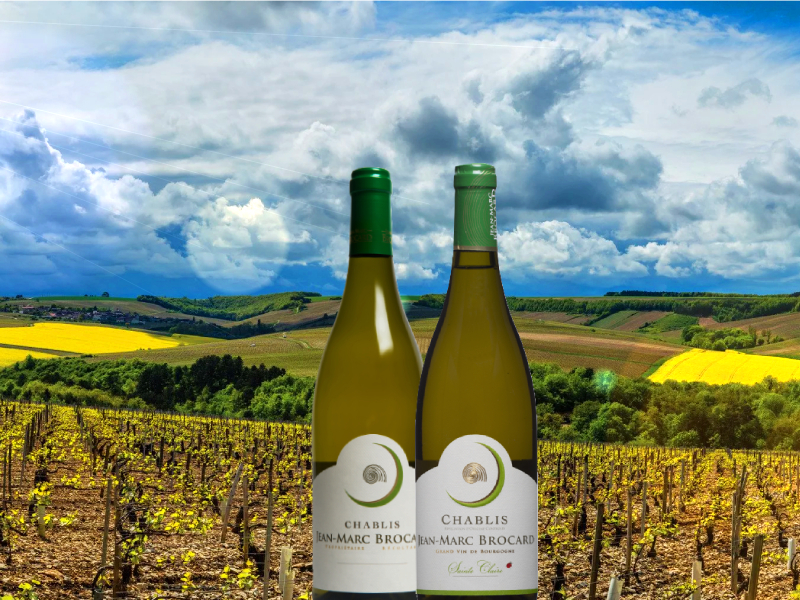 https://www.winelist.nl/media/cache/16x9_thumb/media/image/article-overview/Chablis_blogbanner_z_tekst.jpg