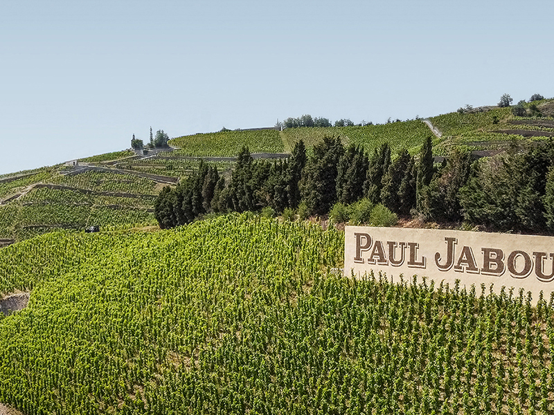 https://www.winelist.nl/media/cache/16x9_thumb/media/image/article-overview/Jaboulet_Rhone_blogbanner_z_tekst_nf.jpg