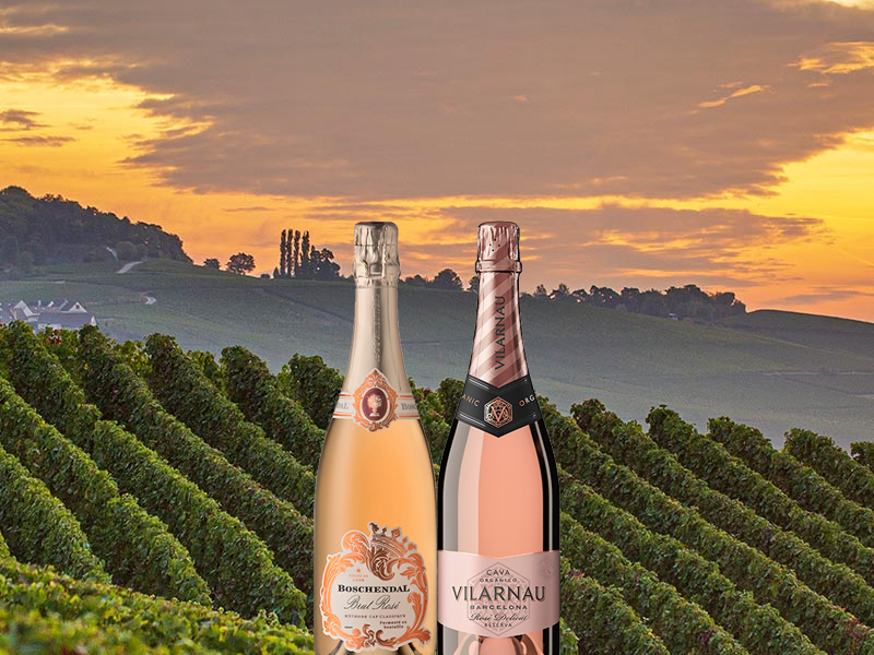 https://www.winelist.nl/media/cache/16x9_thumb/media/image/article-overview/Ros%C3%A9_bubbel_blogbanner_z_tekst.jpg