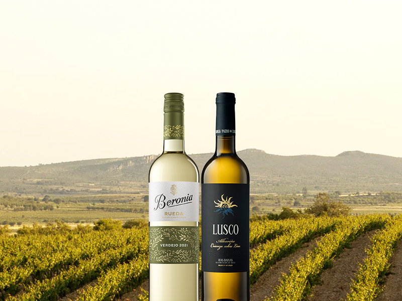 https://www.winelist.nl/media/cache/16x9_thumb/media/image/article-overview/Spanje_wit_blogbanner_z_tekst.jpg