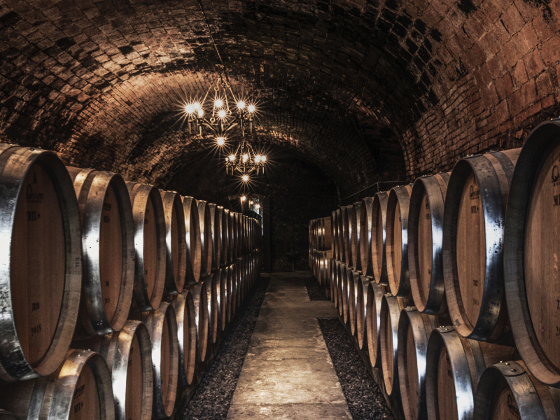 https://www.winelist.nl/media/cache/16x9_thumb/media/image/article-overview/castello-della-sala-cellar.jpg