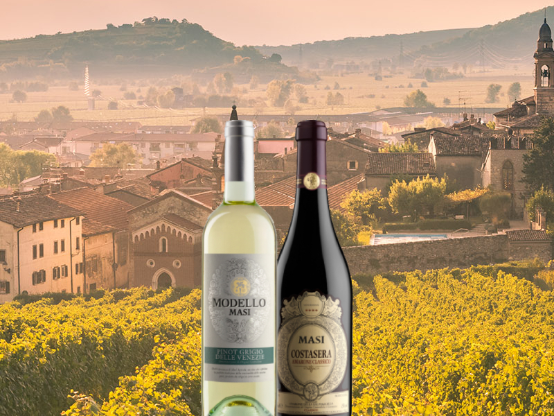 https://www.winelist.nl/media/cache/16x9_thumb/media/image/article-overview/masi_blogbanner_z_tekst.jpg