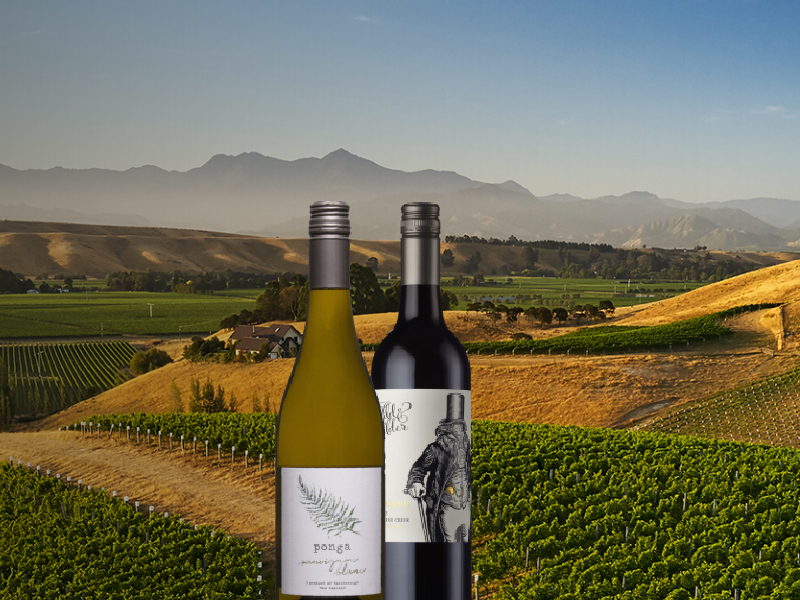 https://www.winelist.nl/media/cache/16x9_thumb/media/image/article-overview/ponga_one_chain_blogbanner_z_tekst.jpg