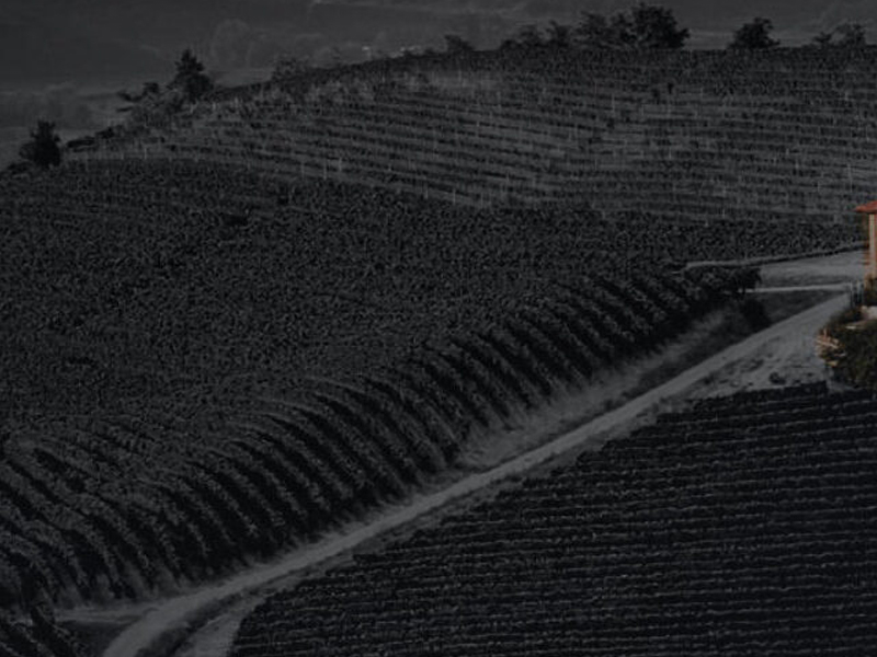 https://www.winelist.nl/media/cache/16x9_thumb/media/image/article-overview/prunotto-glas-blogbanner-z-tekst.jpg