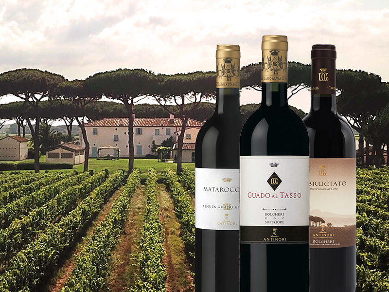 https://www.winelist.nl/media/cache/16x9_thumb/media/image/article-subscriiption-banner/86-Guado-al-Tasso-blogbanner-z-tekst.jpg