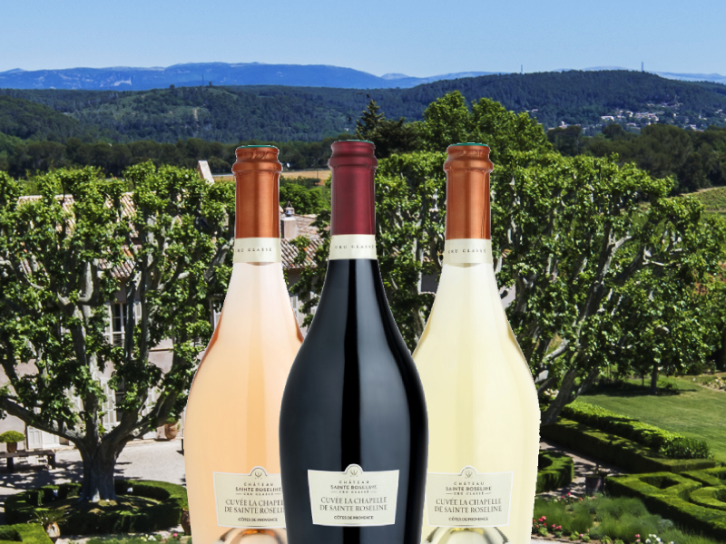 https://www.winelist.nl/media/cache/16x9_thumb/media/image/article-subscriiption-banner/Chapelle_Roseline_blogbanner_z_tekst.jpg