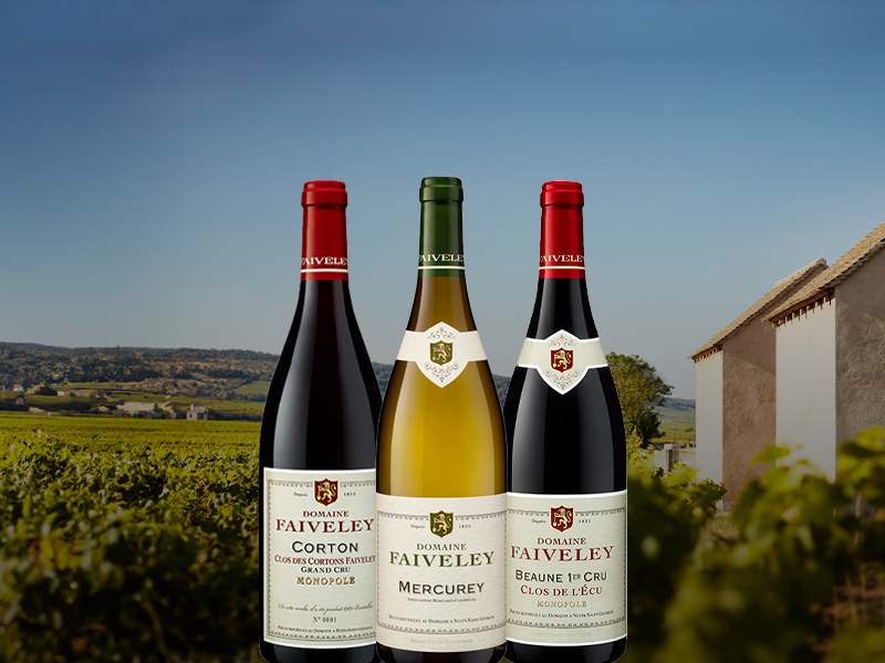 https://www.winelist.nl/media/cache/16x9_thumb/media/image/article-subscriiption-banner/Faiveley-2021_blogbanner_z_tekst.jpg