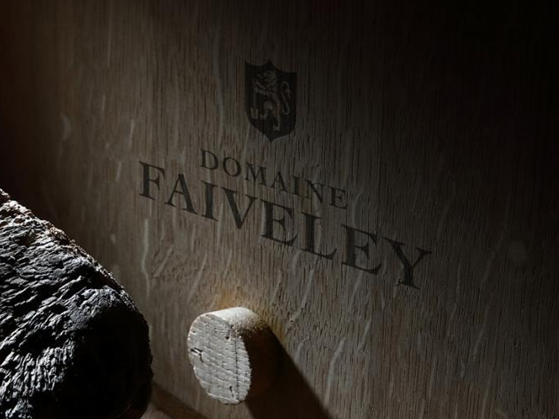 https://www.winelist.nl/media/cache/16x9_thumb/media/image/article-subscriiption-banner/Faiveley_Vintage_release_blogbanner_z_tekst_2.jpg
