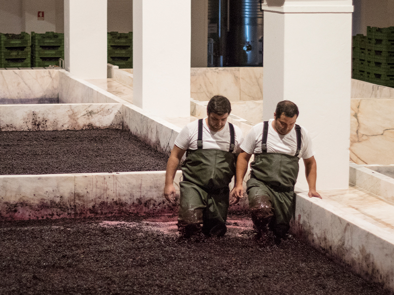 https://www.winelist.nl/media/cache/16x9_thumb/media/image/article-subscriiption-banner/Lagares.jpg