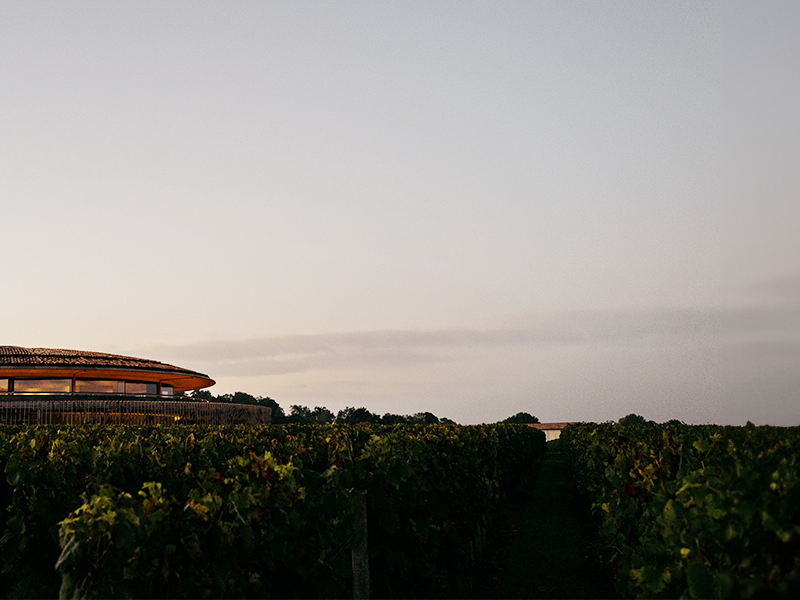 https://www.winelist.nl/media/cache/16x9_thumb/media/image/article-subscriiption-banner/Maltus_blogbanner_los.png