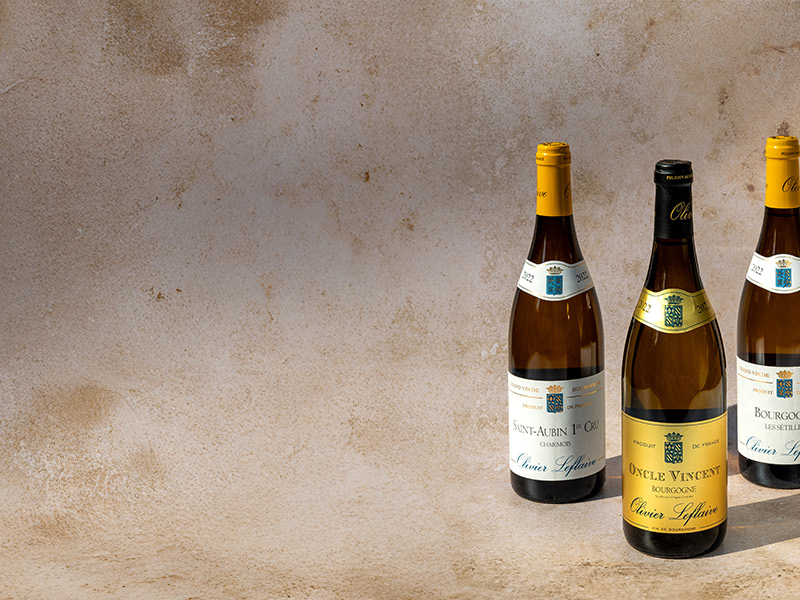 https://www.winelist.nl/media/cache/16x9_thumb/media/image/article-subscriiption-banner/blogbanner%20leflaive.jpg