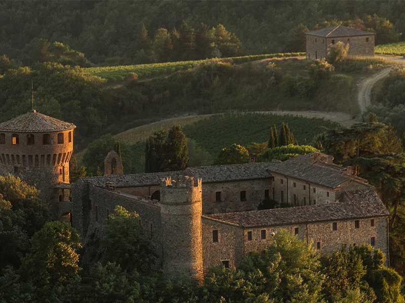 https://www.winelist.nl/media/cache/16x9_thumb/media/image/article-subscriiption-banner/castello-della-sala-blogbannero.jpg