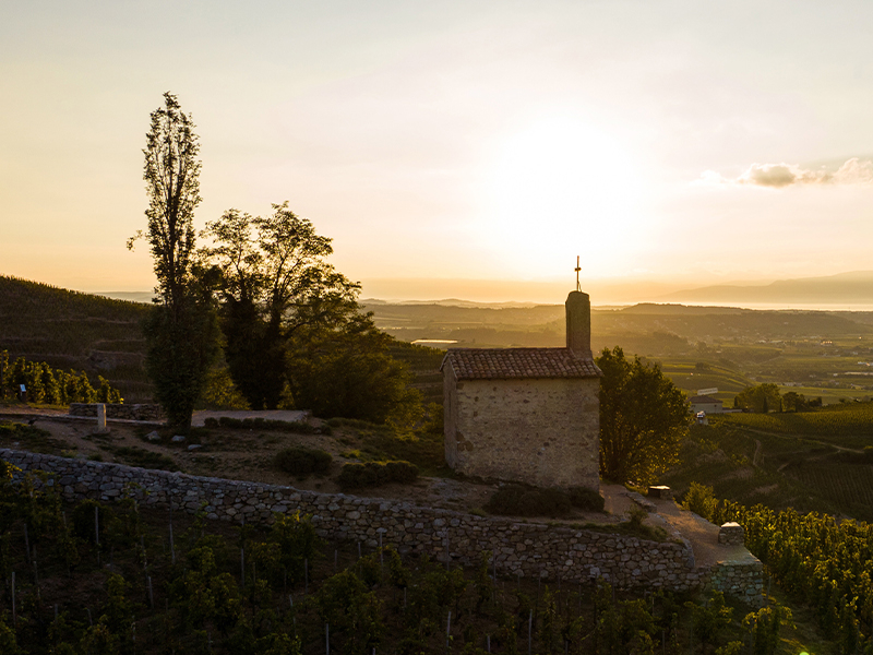 https://www.winelist.nl/media/cache/16x9_thumb/media/image/article-subscriiption-banner/hermitage_la_chapelle.jpg