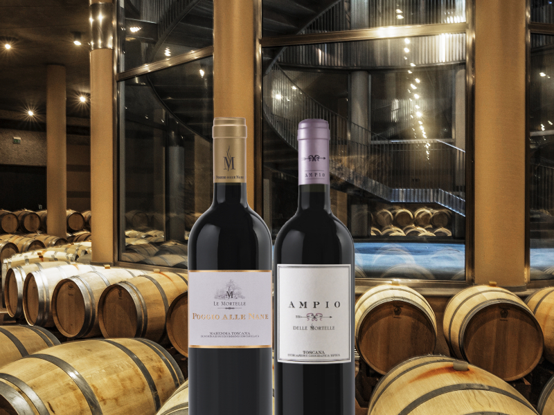https://www.winelist.nl/media/cache/16x9_thumb/media/image/article-subscriiption-banner/le-mortelle-cru-blogbanner-z-tekst.jpg