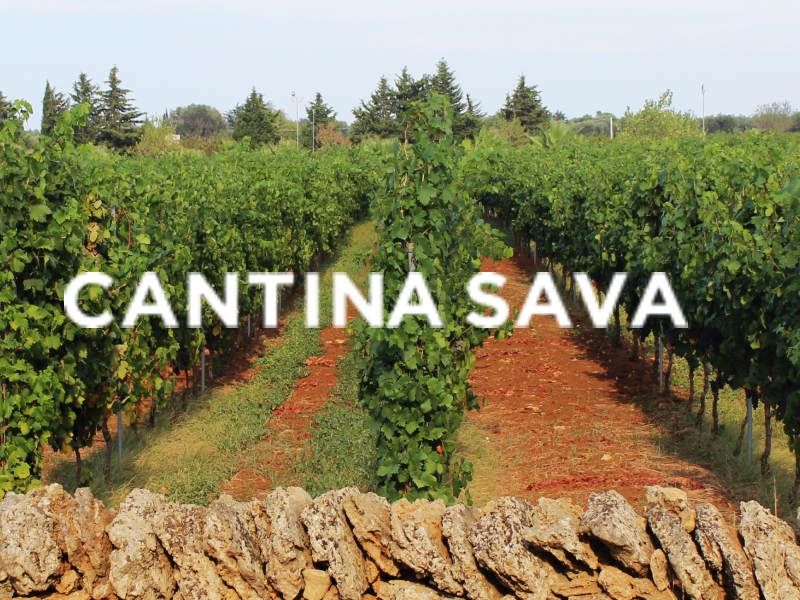 https://www.winelist.nl/media/cache/16x9_thumb/media/image/brand-banner/Cantina_SavA_blogbanner.jpg