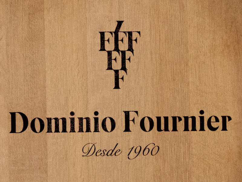 https://www.winelist.nl/media/cache/16x9_thumb/media/image/brand-banner/Dominiofournier_wijnton.jpg