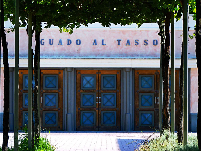 https://www.winelist.nl/media/cache/16x9_thumb/media/image/brand-banner/GuadoalTasso_estate.jpg