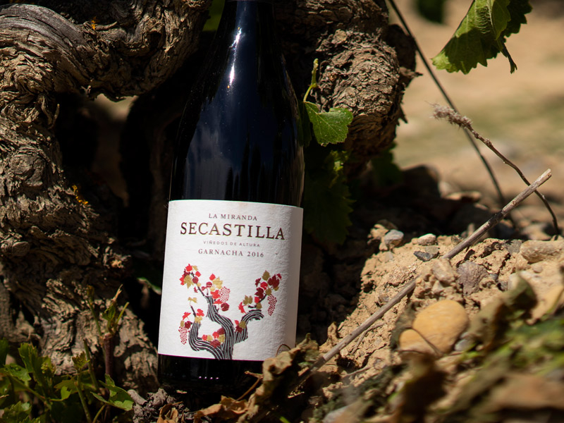 https://www.winelist.nl/media/cache/16x9_thumb/media/image/brand-banner/Secastilla_rock.jpg