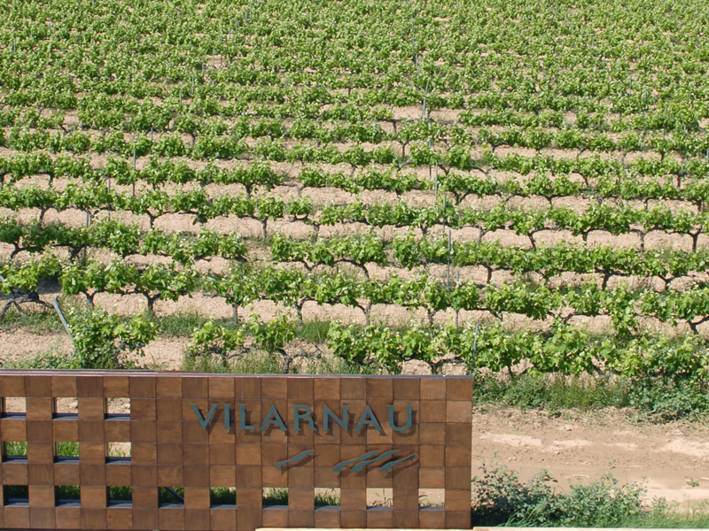 https://www.winelist.nl/media/cache/16x9_thumb/media/image/brand-banner/Vilarnau_druif.jpg