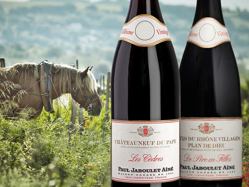 https://www.winelist.nl/media/cache/16x9_thumb/media/image/brand-cta/65-Magistrale-Chateauneuf-du-Pape.jpg