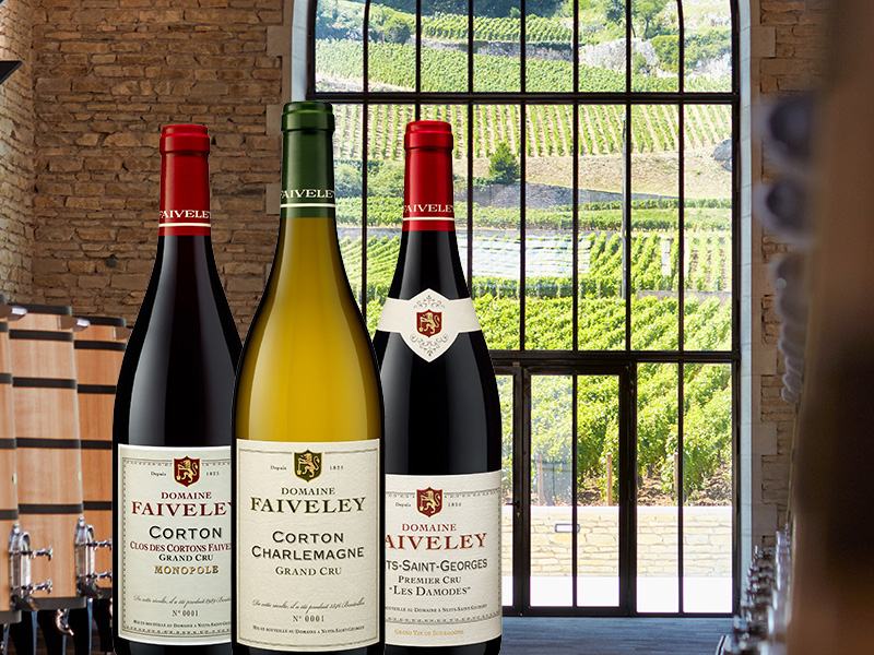 https://www.winelist.nl/media/cache/16x9_thumb/media/image/content/103-Domaine-Faiveley-blogbanner-z-tekst.jpg