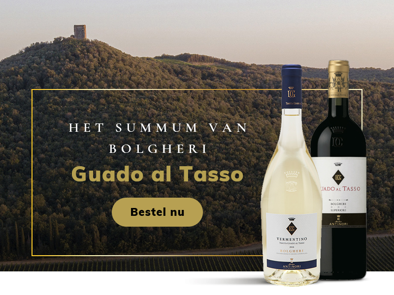 https://www.winelist.nl/media/cache/16x9_thumb/media/image/home-banner/Guado_al_Tasso_Blogbanner.jpg