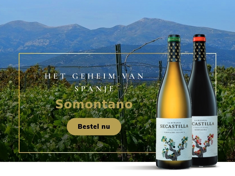 https://www.winelist.nl/media/cache/16x9_thumb/media/image/home-banner/Somontano_Blogbanner.jpg