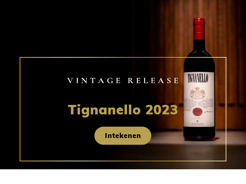 https://www.winelist.nl/media/cache/16x9_thumb/media/image/home-banner/Tignanello%202023_blogbanner.jpg