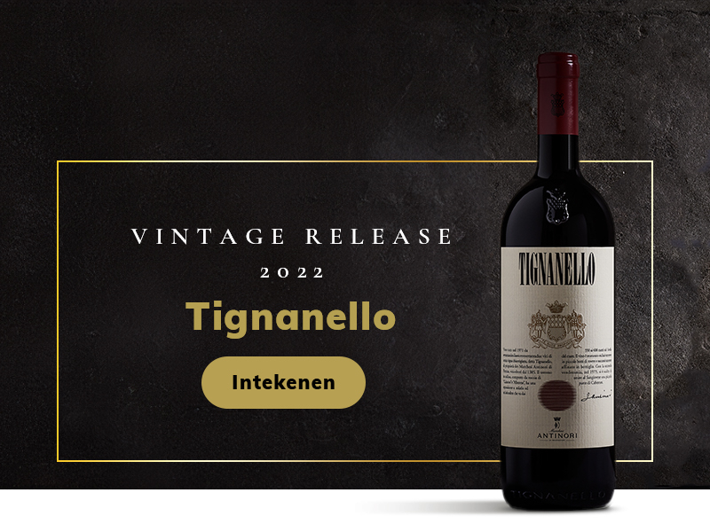 https://www.winelist.nl/media/cache/16x9_thumb/media/image/home-banner/Tignanello_2022_Blogbanner-2.jpg